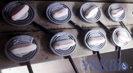 冰冻包埋-4.jpg 冰冻包埋-4.jpg